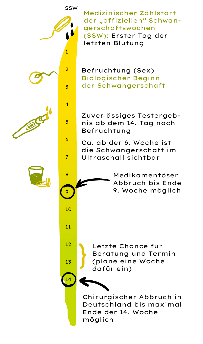 Infografik über die ersten Schwangerschaftswochen. Medizinischer Zählstart der offiziellen SSW: Erster Tag der letzten Blutung. Zweite bis dritte SSW: Befruchtung (Sex)  Biologischer Beginn der Schwangerschaft. Fünfte SSW: Zuverlässiges Testergebnis ab dem vierzehnten Tag nach Befruchtung. Neunte SSW: Medikamentöser Abbruch möglich. Zwölfte SSW: Letzte Chance für Beratung und Termin. Vierzehnte SSW: Abbruch in Deutschland bis maximal Ende der vierzehnten Woche möglich.